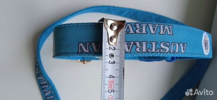 Ошейник с поводком