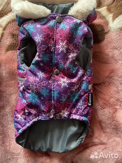 Куртка, комбинезон, сапоги для собаки