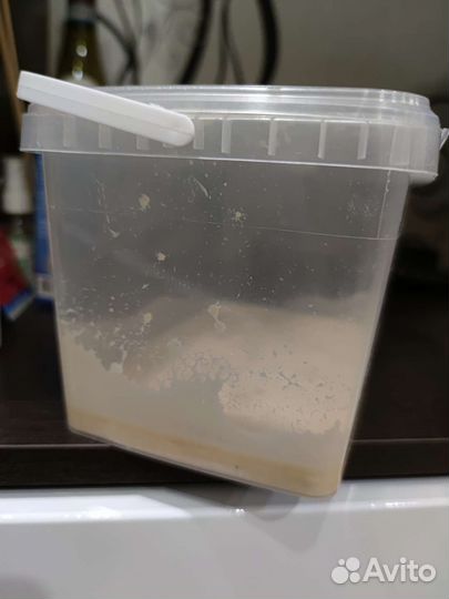 Живой корм для аквариумных рыбок