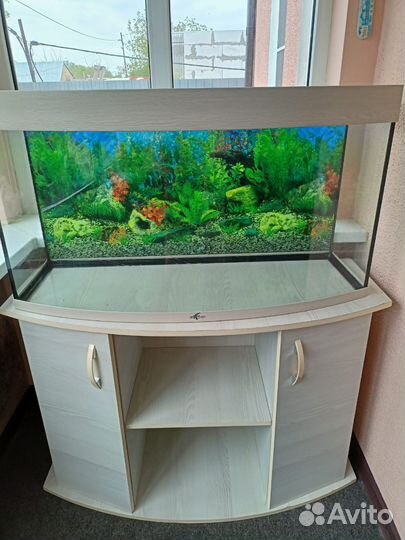 Панорамный аквариум с тумбой