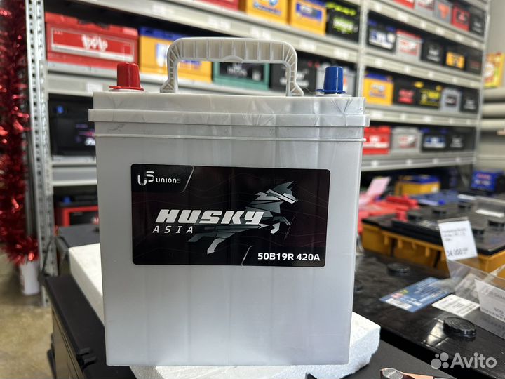 Аккумулятор husky Asia 42 прям