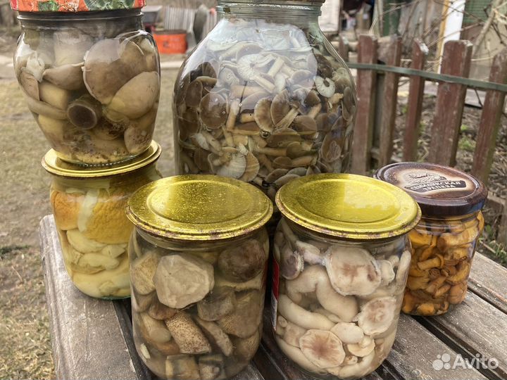 Сушеные и маринованные грибы