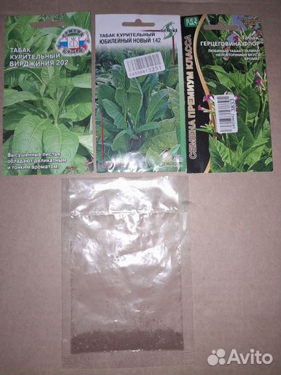 Семена табака