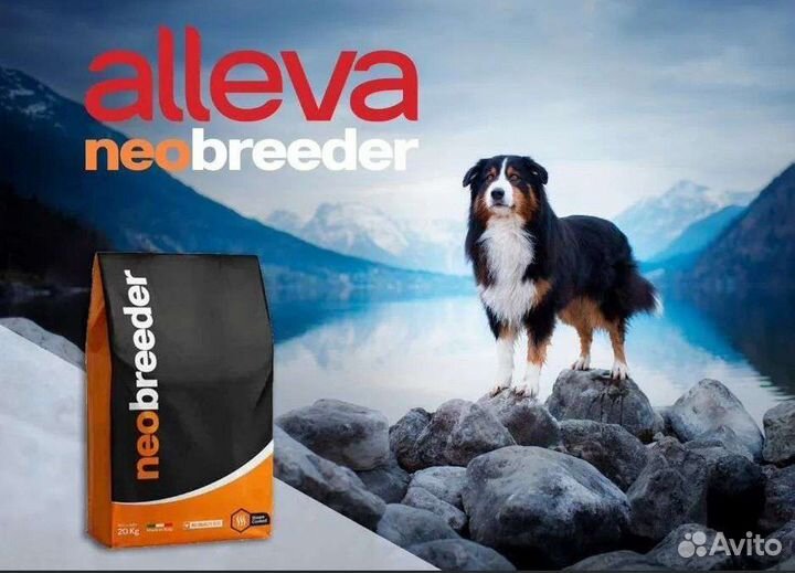 Корм для собак и кошек