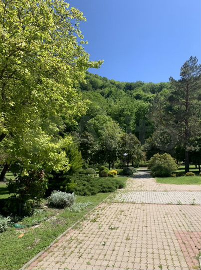 1-к. квартира, 35 м², 2/3 эт.