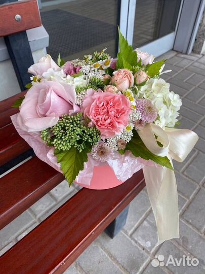 Живые цветы Гвоздики