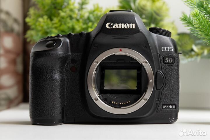 Canon 5D Mark II