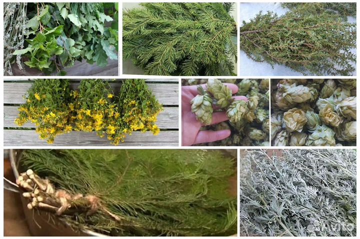 Запарка для бани и травы. Ягода, яблоки, мята