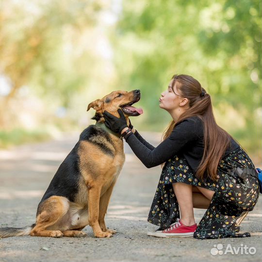 Классный парень ищет семью