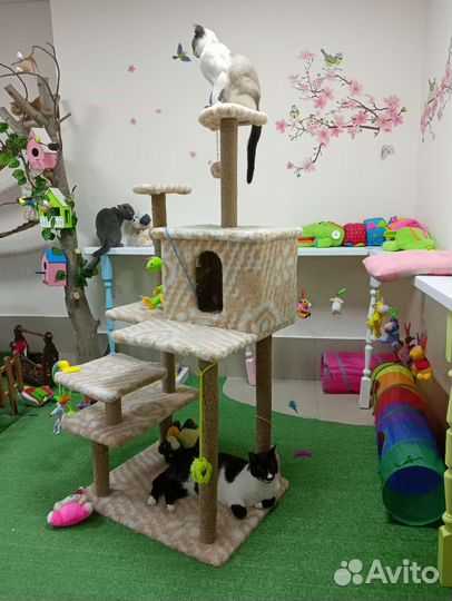 Зоогостиница 