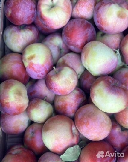 Доставка овощей и фруктов