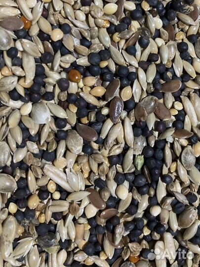 Корма для всех видов попугаев, канареек