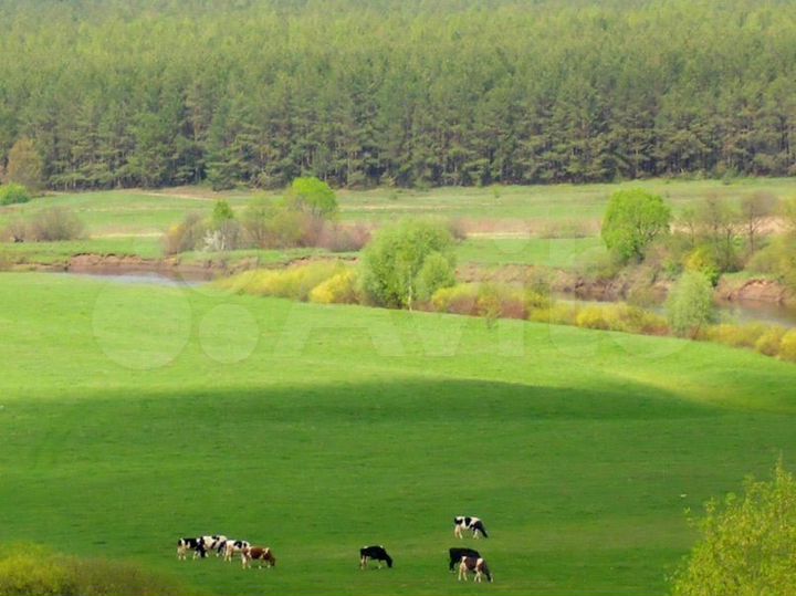 Участок 7,4 га (СНТ, ДНП)