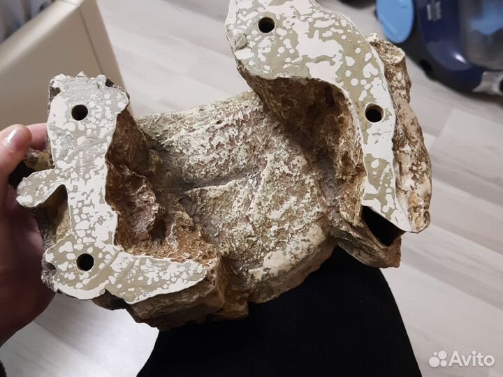 Пророщённый корм для попугаев