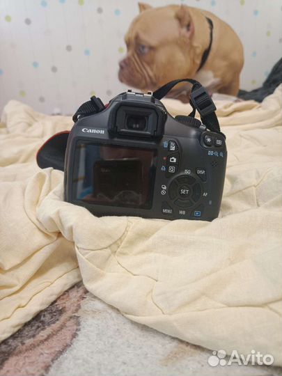Фотоаппарат с сумкой