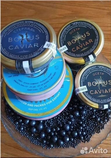 Малосол черная икра