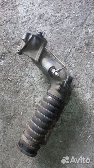 Патрубок интеркулера Man D2066