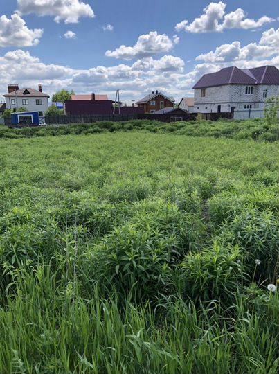 Участок 20 сот. (ИЖС)