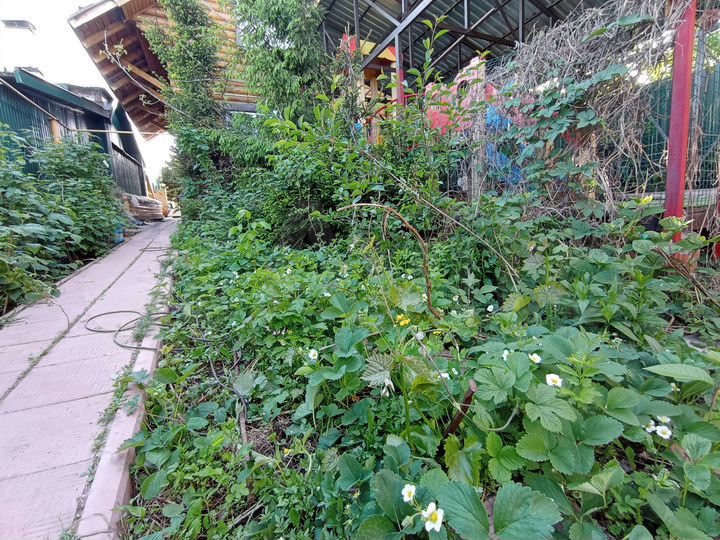 Дом 112 м² на участке 2,5 сот.