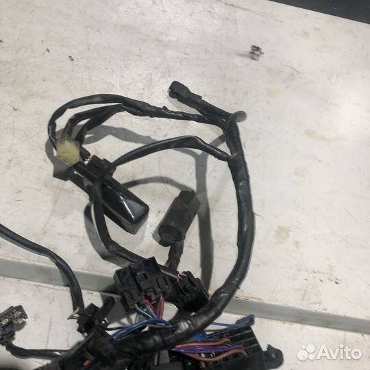 Коса проводки для triumph speedmaster 2008