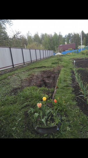 Участок 6 сот. (СНТ, ДНП)