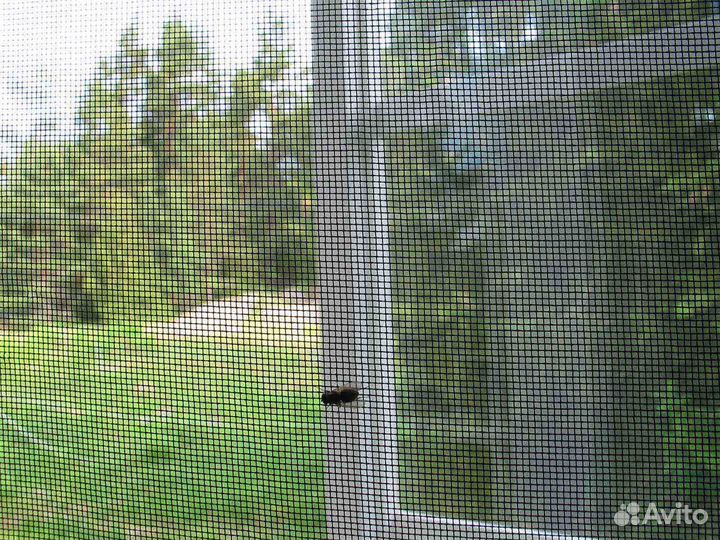 Москитная сетка Усиленная RAL5203