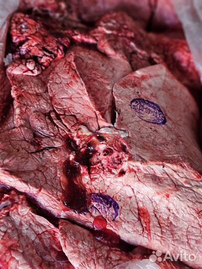 Легкое, почки и другое на корм животных