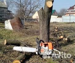 Покос травы спил деревьев вывоз стройматериалов