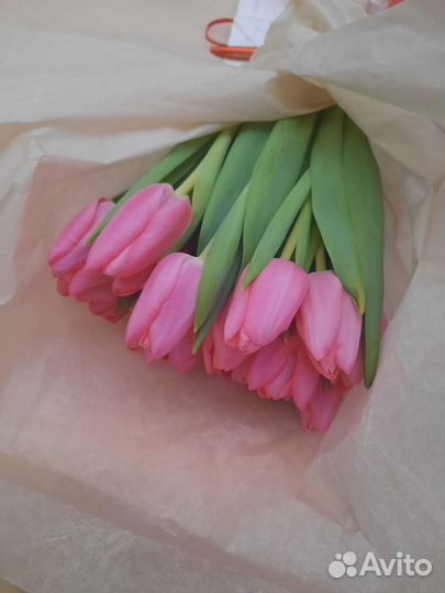 Продаю тюльпаны