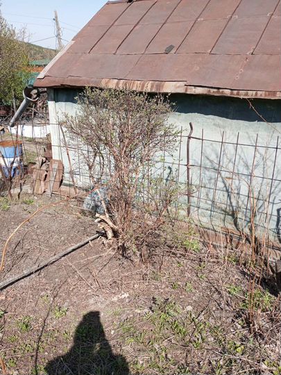 Дача 10 м² на участке 6 сот.