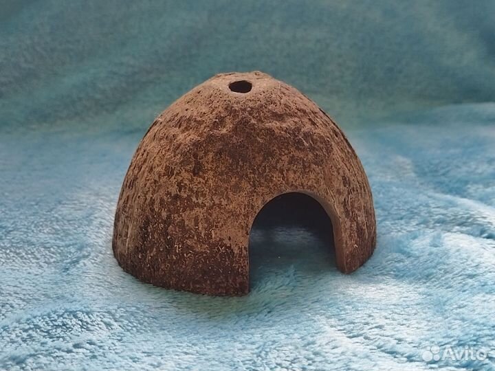 Террариум для эублефара 50*25*25