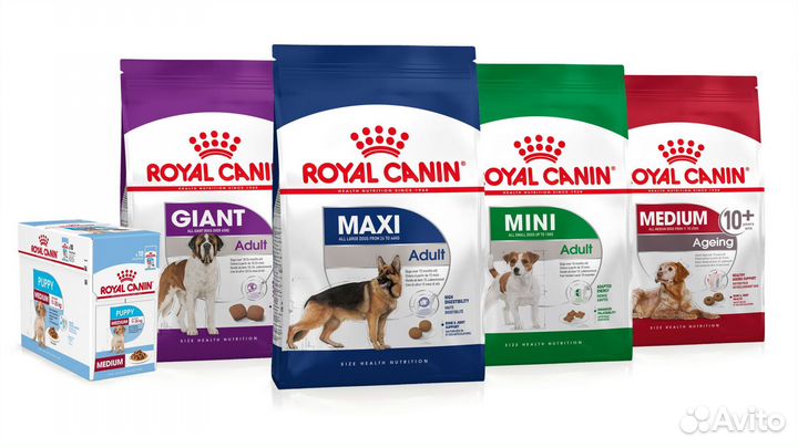 Royal canin для кошек и собак