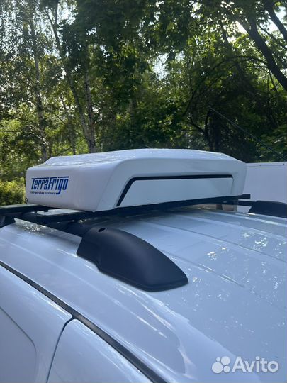 Рефрижератор terrafrigo s10