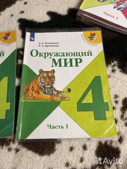 Учебник окружающий мир 4 класс плешаков