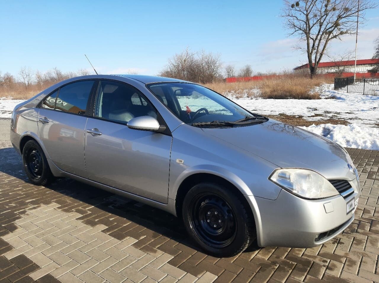 Nissan Primera: фото владельца