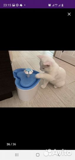 Автоматическая поилка, подгузники и пеленки