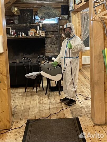 Уничтожение клопов, тараканов, мышей