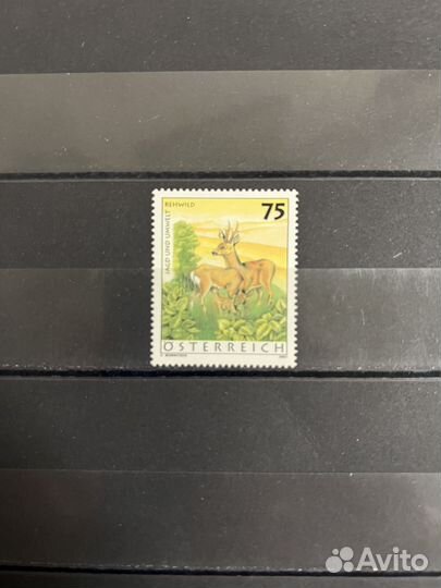 2007 г. Австрия. Фауна