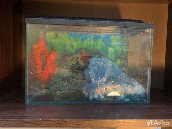 Аквариум