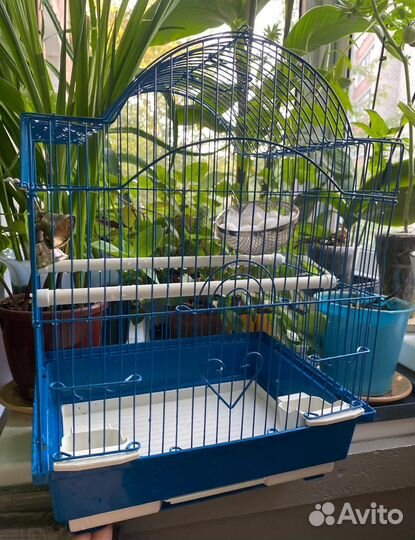 Клетка для птички