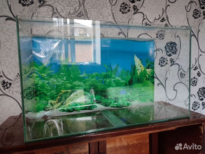 Аквариум 50 л