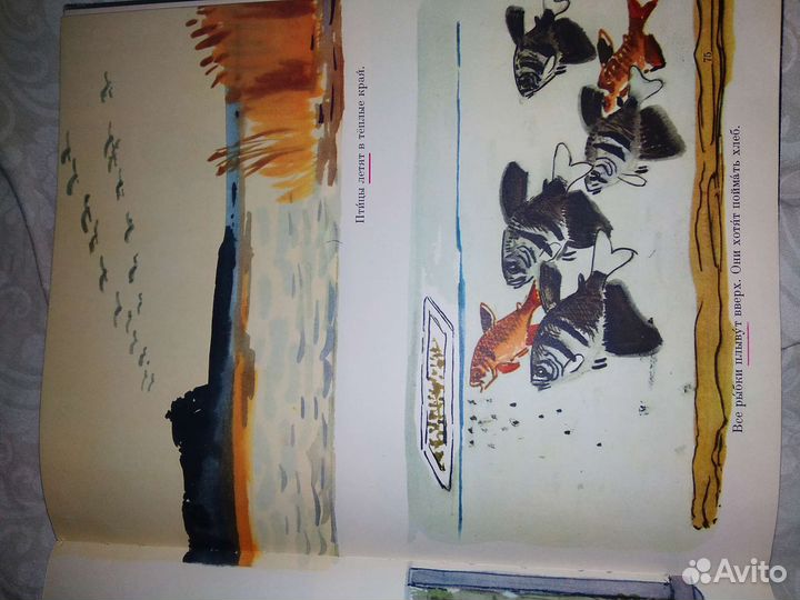 Русский язык в картинках ч.2, Букварь