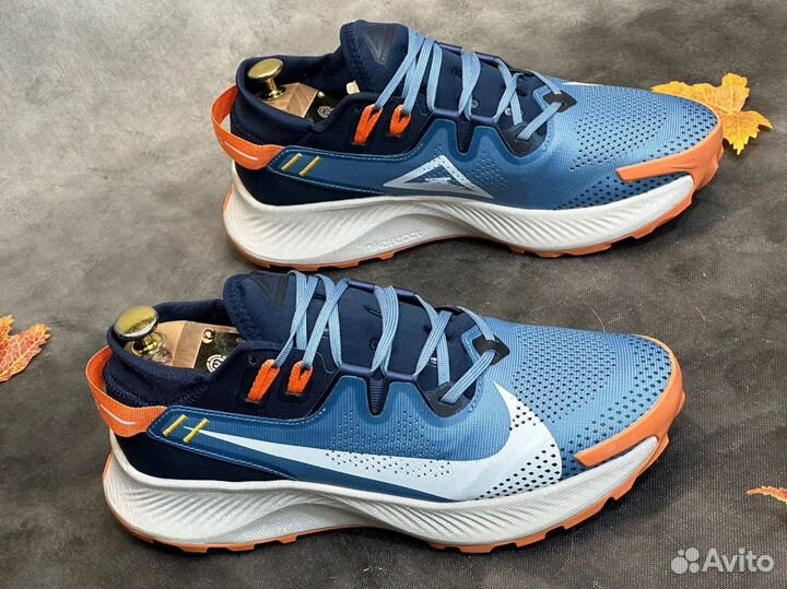 Кроссовки Nike Pegasus traill 2