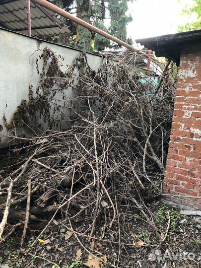 Вывоз мусора Газель,Камаз,Зил,Экскаватор,Снос,Спил