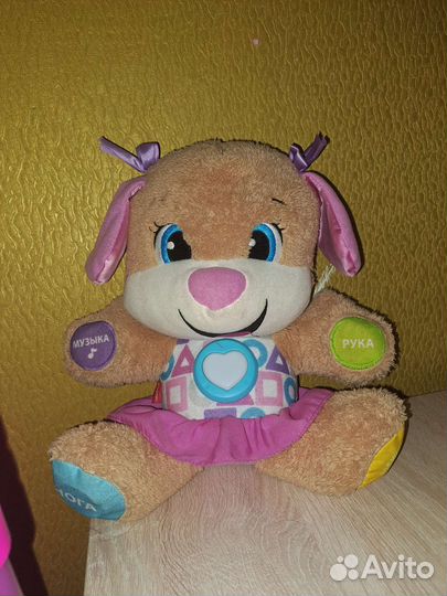 Сестричка ученого щенка