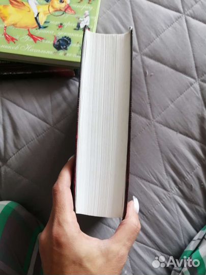 Иллиада Одиссея полное издание 1304 страницы