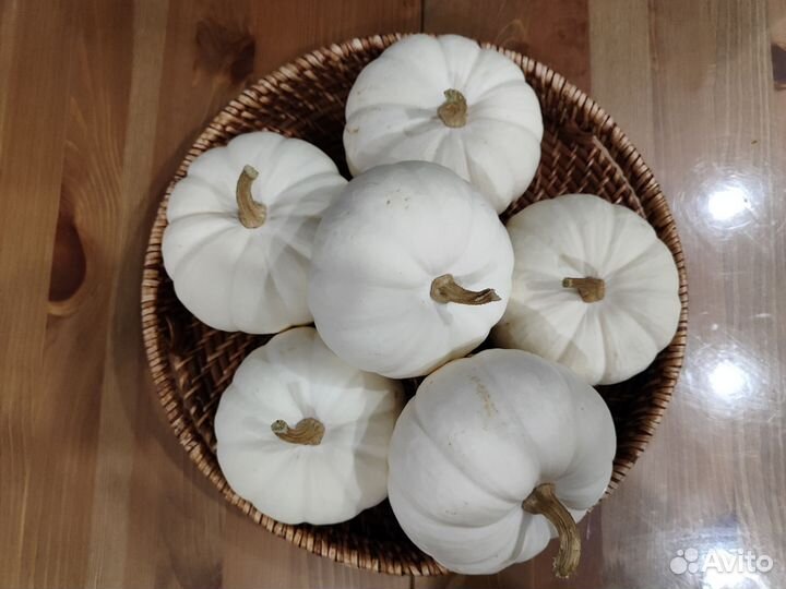 Тыква декоративная белая