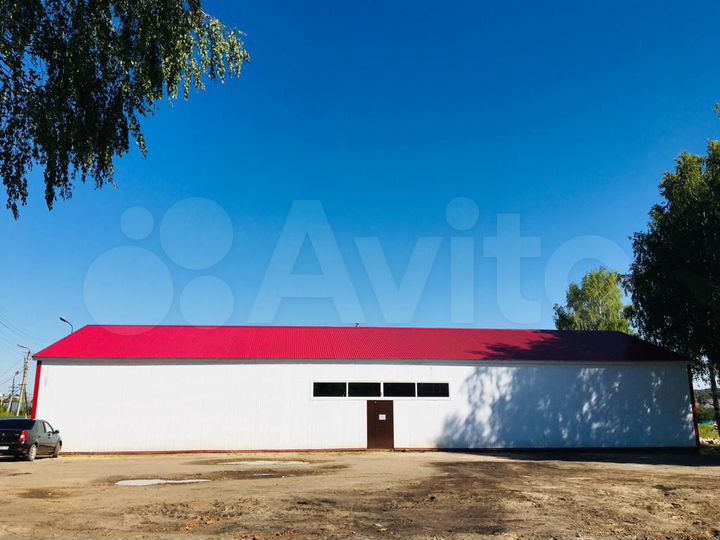 Торговая площадь, 534.9 м²