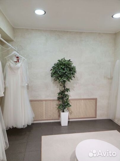 Фикус Премиум цветок дерево искусственное домой