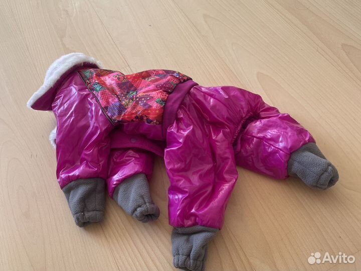 2 комбинезона для маленьких собак